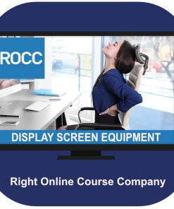 Display screen equipment online training course
