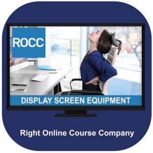 Display screen equipment online training course